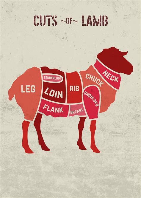 Cuts Of Lamb Mutton Chart Butcher Meat Restaurant And Fine Dining By ...