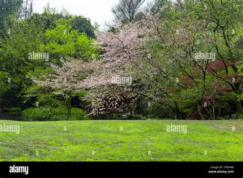 Hangzhou Botanical Garden in the future Stock Photo - Alamy