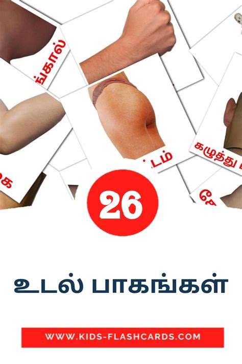 26 FREE Body Parts Flashcards | PDF | Tamil Words