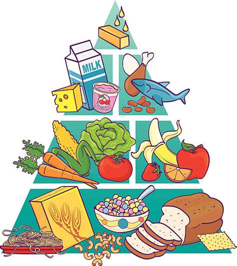 Food Pyramid Illustrations, Royalty-Free Vector Graphics & Clip Art - iStock