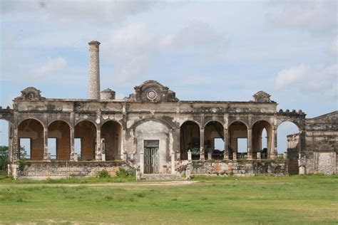 Yucatan Sisal Plantations - Sisal