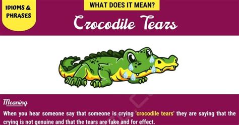 "Crocodile Tears" Meaning with Real Examples • 7ESL