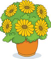 english marigold - Clip Art Library