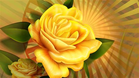 Yellow Rose Wallpapers And Backgrounds