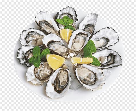 Wine Oyster Plateau de fruits de mer Australian cuisine Cajun cuisine, Lemon oyster delicacy ...