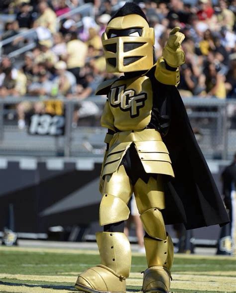 KNIGHTRO - GO KNIGHTS!!!!! | Ucf, Ucf knights, Teams