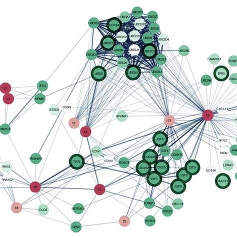 (PDF) Viruses.STRING: A virus-host protein-protein interaction database