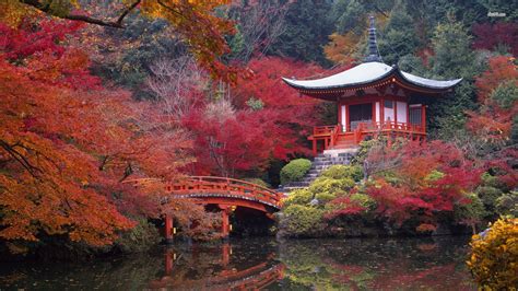 Kyoto the Best Destination in Japan - Gets Ready