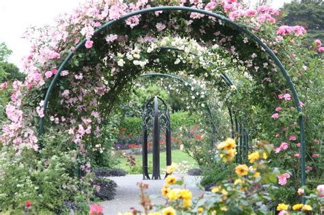 AUCKLAND, AUCKLAND, BOTANIC GARDENS - Google Search | Botanical gardens, Garden, Outdoor