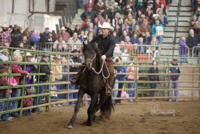 Northwest Horse Fair & Expo 2023: Here We Come Again!! - News - The ...