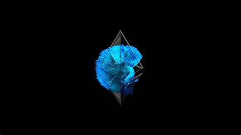 Ethereum HD wallpaper | Pxfuel