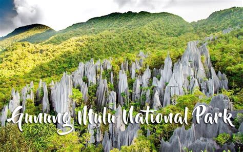 Gunung Mulu National Park | DinoAnimals.com