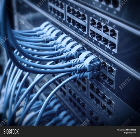 Network Cables Switch Image & Photo (Free Trial) | Bigstock