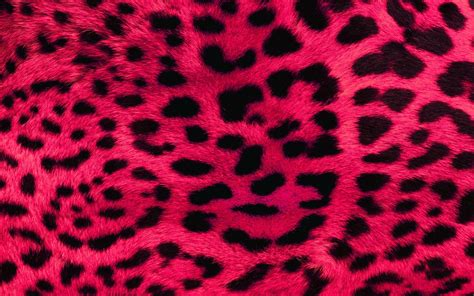 Download A Close Up Of A Pink Leopard Print Wallpaper | Wallpapers.com