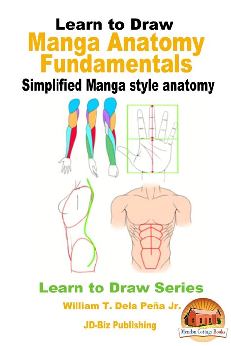 鈥嶭earn to Draw: Manga Anatomy Fundamentals - Simplified Manga style anatomy #, #AD, #Anatomy, # ...