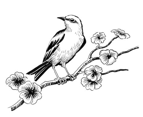 Premium Photo | Bird on a blossoming tree. Ink black and white drawing