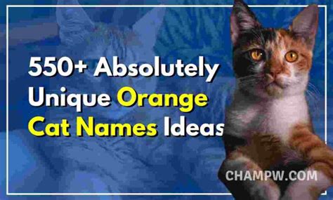 550+ Orange Cat Names Absolutely Unique List In 2024