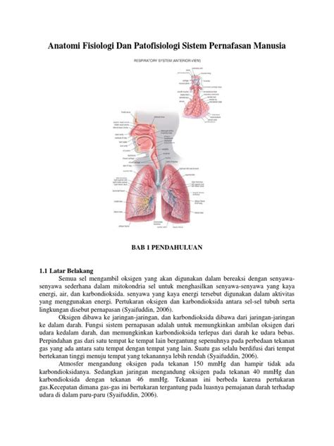 Anatomi Fisiologi Dan Patofisiologi Sistem Pernafasan Manusia