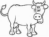 Cow Printable Coloring Pages  Home sketch template
