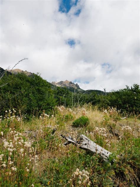 Panoramic View of Cerro Catedral Trekking Stock Photo - Image of branch ...