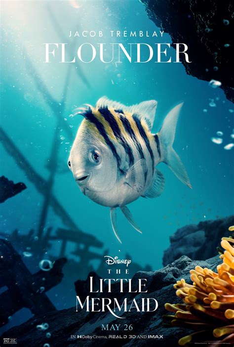 The Little Mermaid_CharacterSeries_Flounder_v2_Lg_The Movie Blog | The Movie Blog