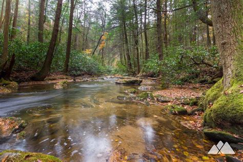 Appalachian Trail: Three Forks to Springer Mountain