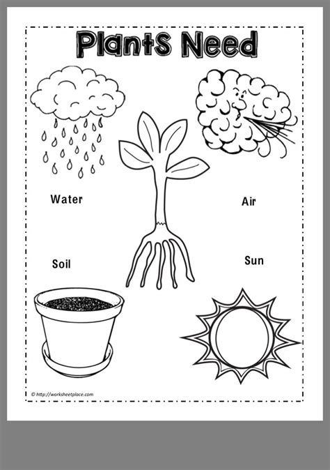 pin by diane mayer on science preschool science activities plants - 23 ...