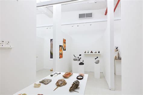 Bio Art Exhibitions - BFA Fine Arts - School of Visual Arts, SVA NYC