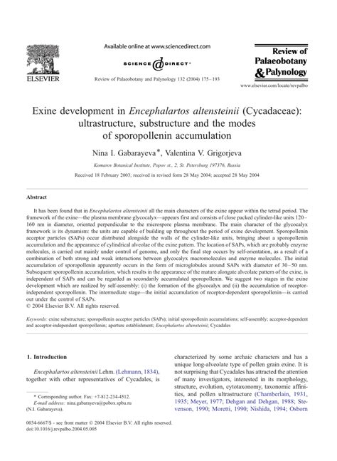 (PDF) Exine development in Encephalartos altensteinii (Cycadaceae ...