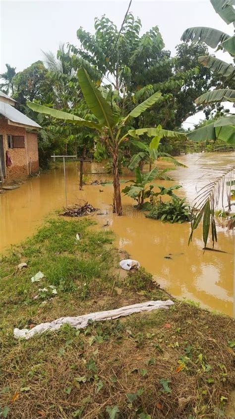 The Flood Was so Big that the River Overflowed Stock Image - Image of garden, overflow: 261667283