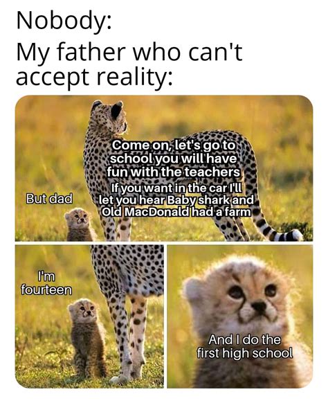 Forever young | /r/wholesomememes | Cheetah and Cub | Know Your Meme