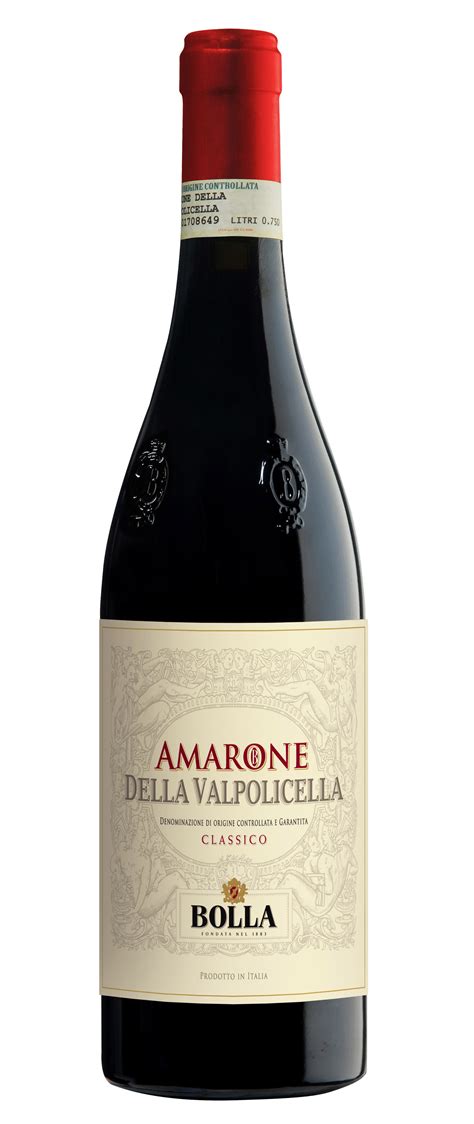 Bolla Amarone del Valpolicella 2013 | The Wine Companyni