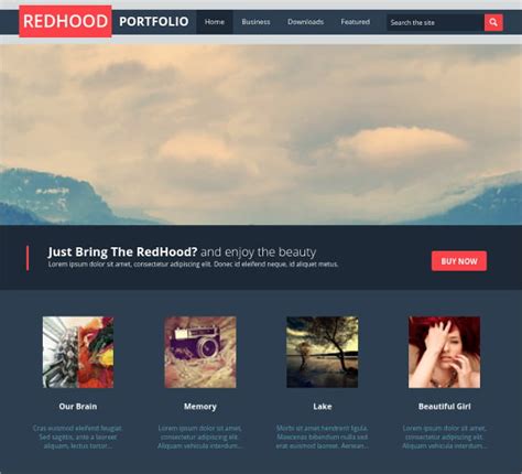 23+ Portfolio Blog Themes And Templates