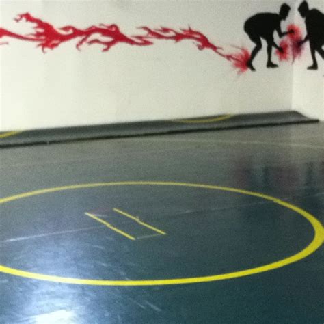 My idea of the perfect basement consists of wrestling mats for the boys ...