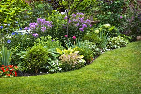 5 Tips for a Beautiful Garden | Beautiful Boundaries