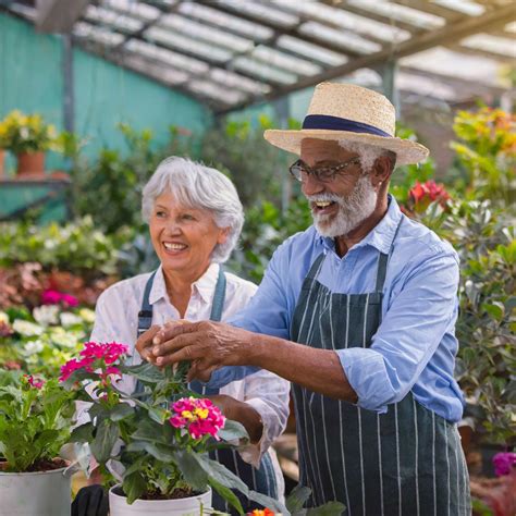 Gardening for Seniors: Cultivating Health and Joy Easily