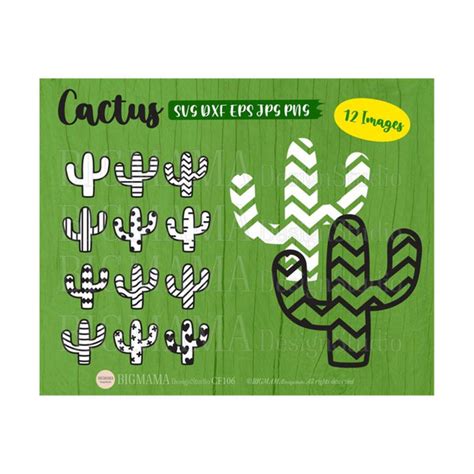 Cactus SVG,Cactus svg files,Cactus svg outline,Cactus svg Bu - Inspire Uplift