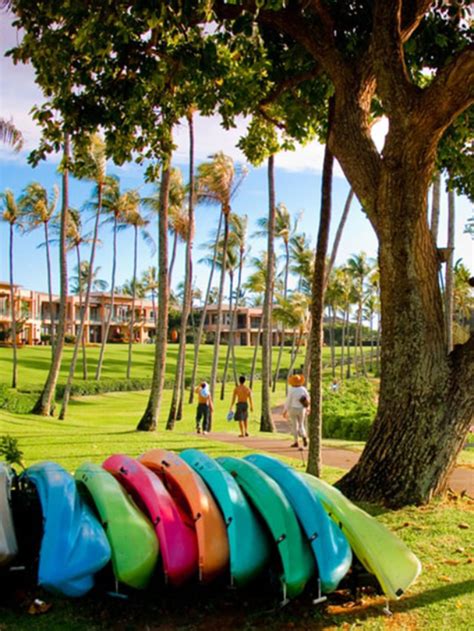 Hilton in Maui: Luxury, Adventure, and Aloha Awaits HGVC Owners - Fidelity Real Estate