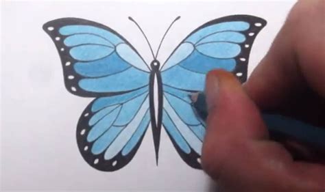 Simple Butterfly Drawing at GetDrawings | Free download