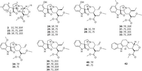 3 Oxindole and indole alkaloids isolated from M. speciosa. | Download ...