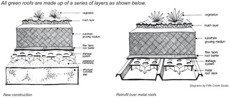 Green roofs - Water Sensitive SA