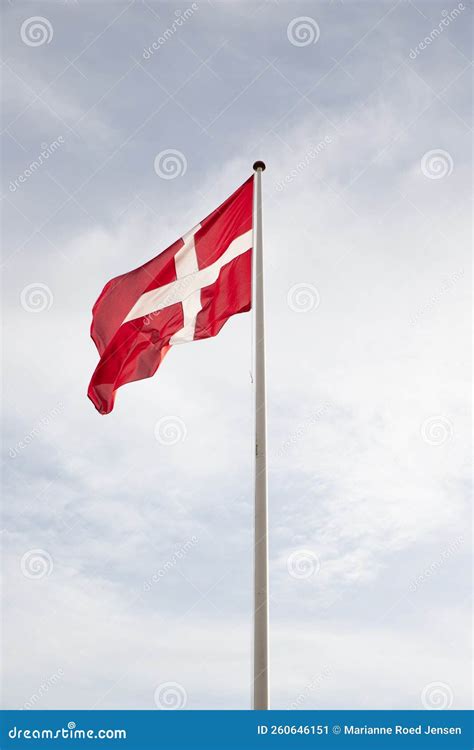 The Beautiful Old Danish Flag Stock Image - Image of white, tradition: 260646151