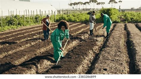 35 Rakee Startup Images, Stock Photos, 3D objects, & Vectors | Shutterstock