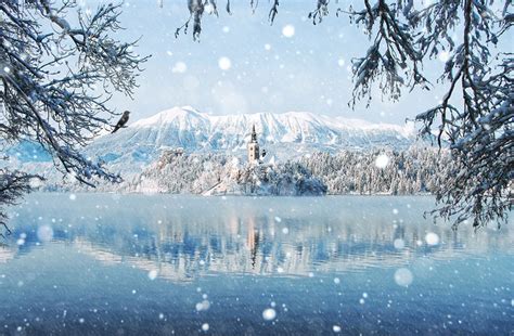 20 Breathtaking Photos Of Winter Landscapes | Bored Panda