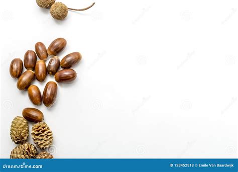 Pine Cones and Acorns, Autumn Concept Stock Photo - Image of christmas ...