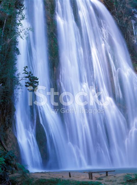 El Limon Waterfall, Samana Peninsula, Dominican Republic Stock Photo | Royalty-Free | FreeImages