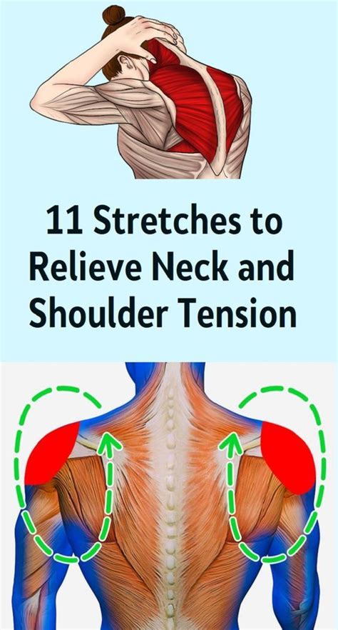 11 Stretches to Relieve Neck and Shoulder Tension | Shoulder tension, Neck and shoulder ...