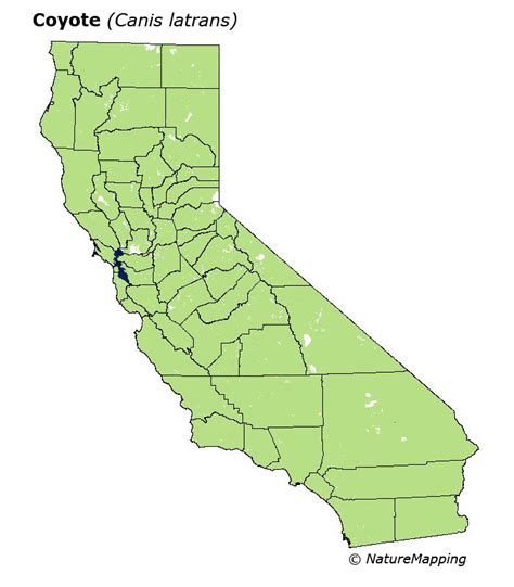 California Distribution Map - Coyote (Canis latrans)