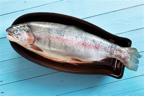 Steelhead Trout vs Salmon: What’s the Difference? - Recipes.net