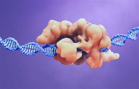 Novel Genome Editing Techniques: What Will Come Next after CRISPR-Cas9?